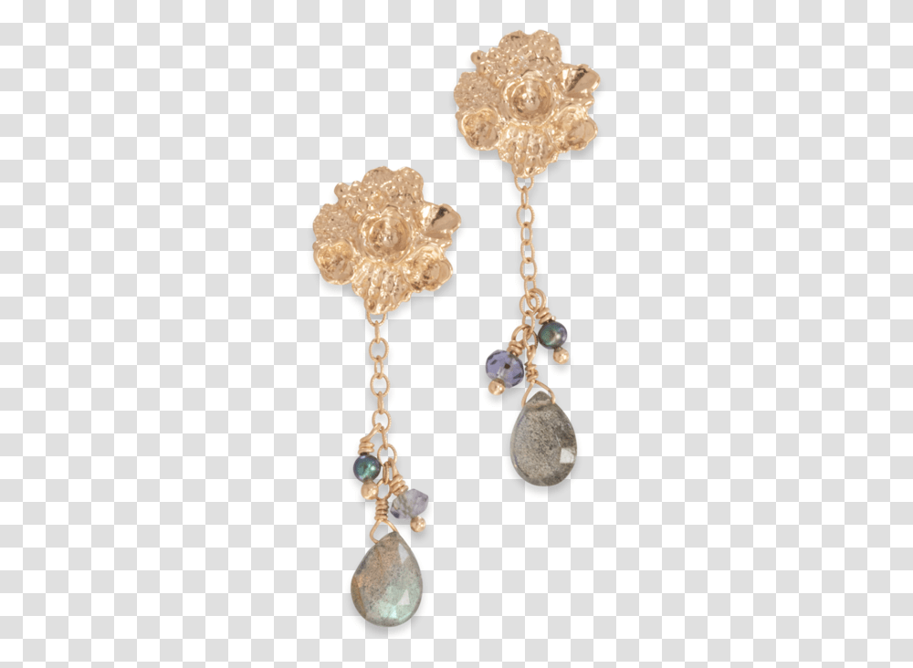 Earrings, Accessories, Accessory, Jewelry, Gemstone Transparent Png