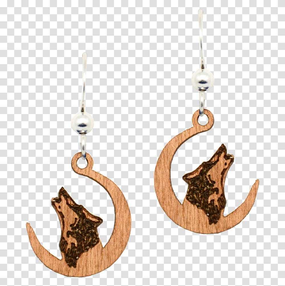 Earrings, Accessories, Accessory, Jewelry, Pendant Transparent Png