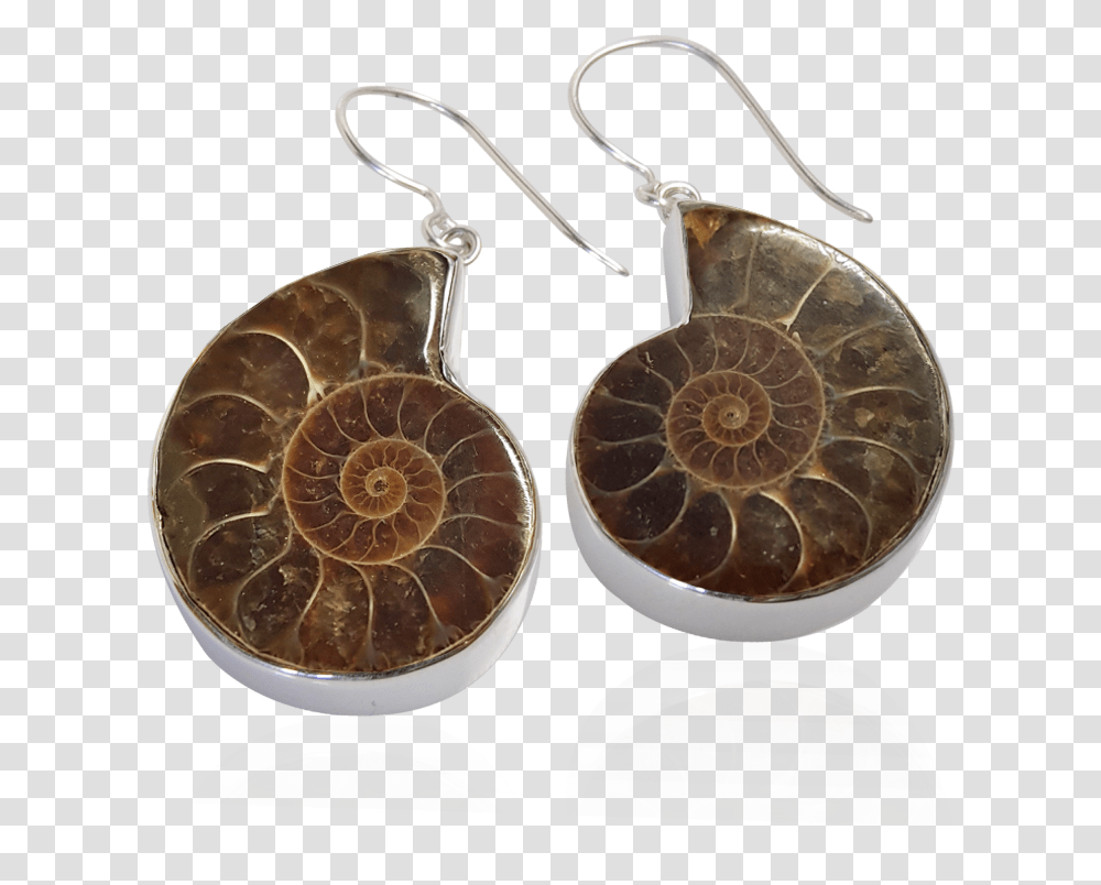 Earrings, Accessories, Accessory, Spiral, Fossil Transparent Png