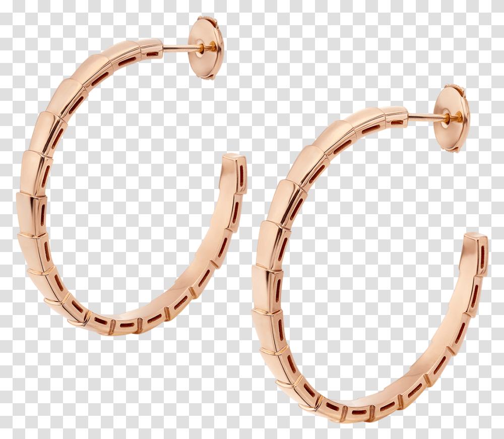 Earrings, Bracelet, Jewelry, Accessories, Accessory Transparent Png