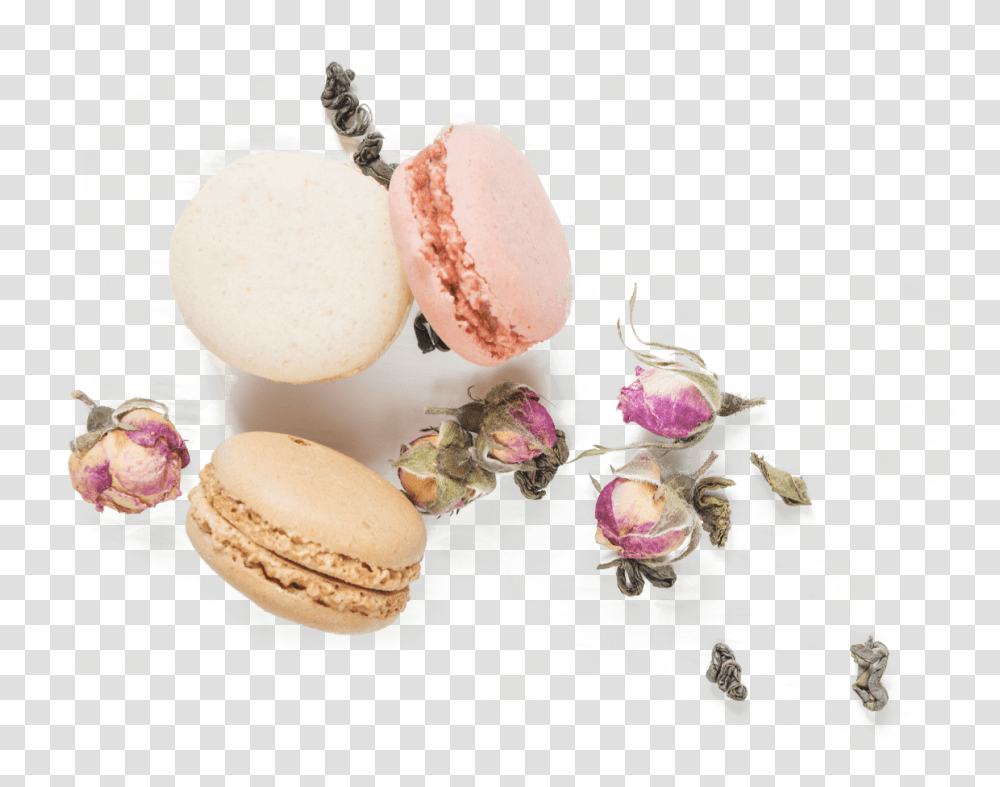 Earrings, Egg, Food, Sweets, Plant Transparent Png