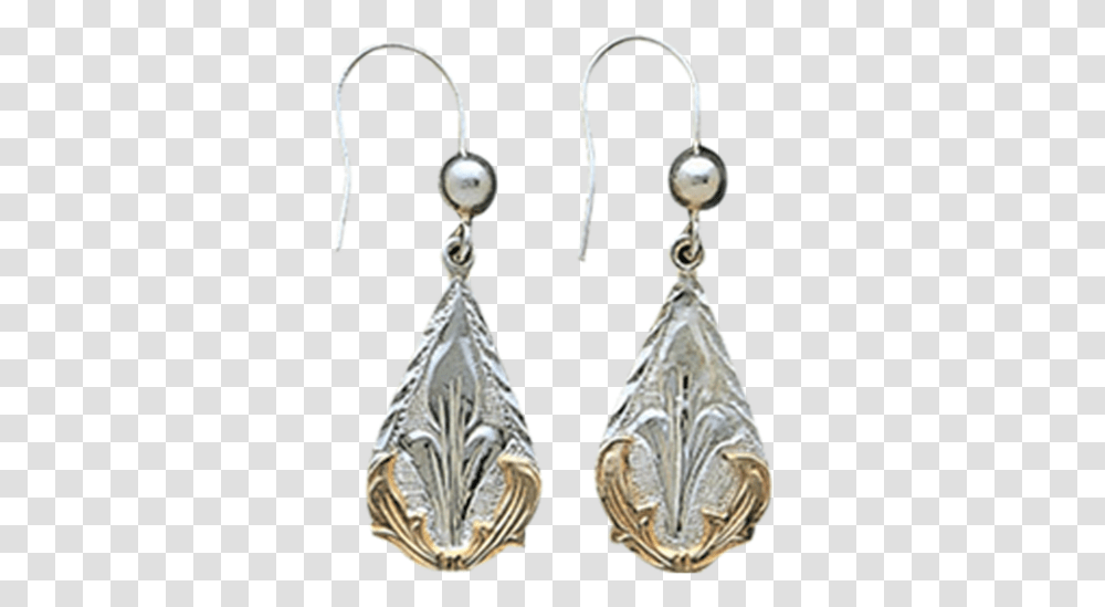 Earrings, Jewelry, Accessories, Accessory Transparent Png