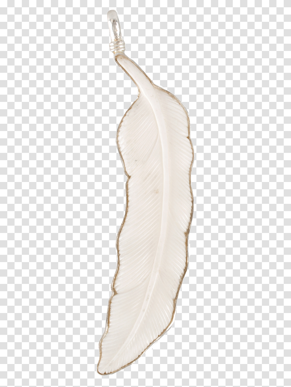 Earrings, Person, Ivory, Plant Transparent Png
