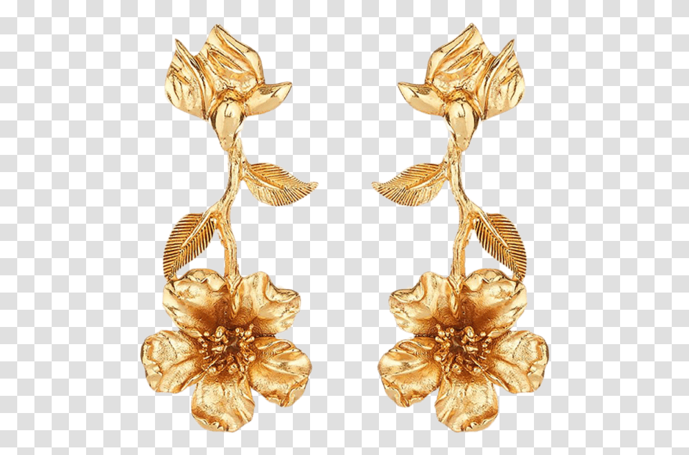 Earrings, Plant, Apparel, Accessories Transparent Png
