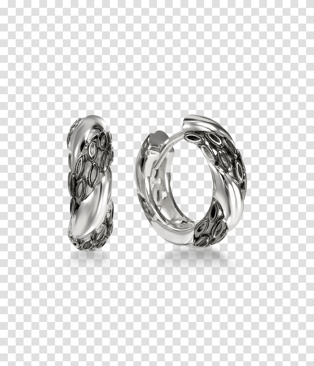 Earrings, Platinum, Jewelry, Accessories, Accessory Transparent Png