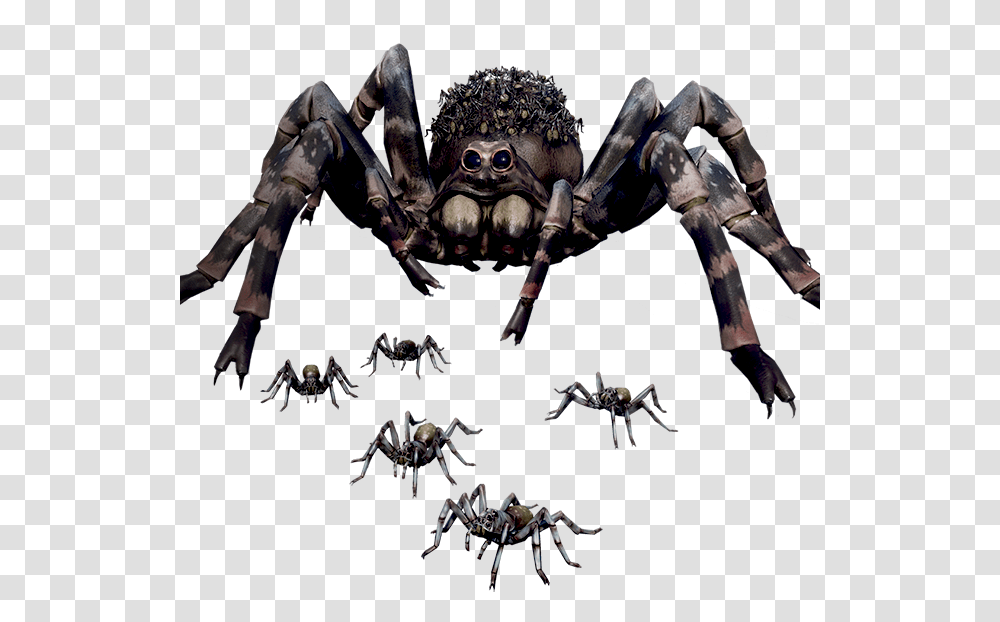 Earth Defense Force Spiders, Animal, Sea Life, Food, Seafood Transparent Png