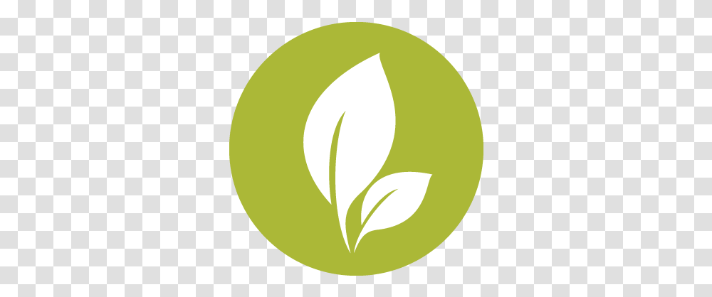 Earth Icon Circle, Tennis Ball, Plant, Logo, Symbol Transparent Png