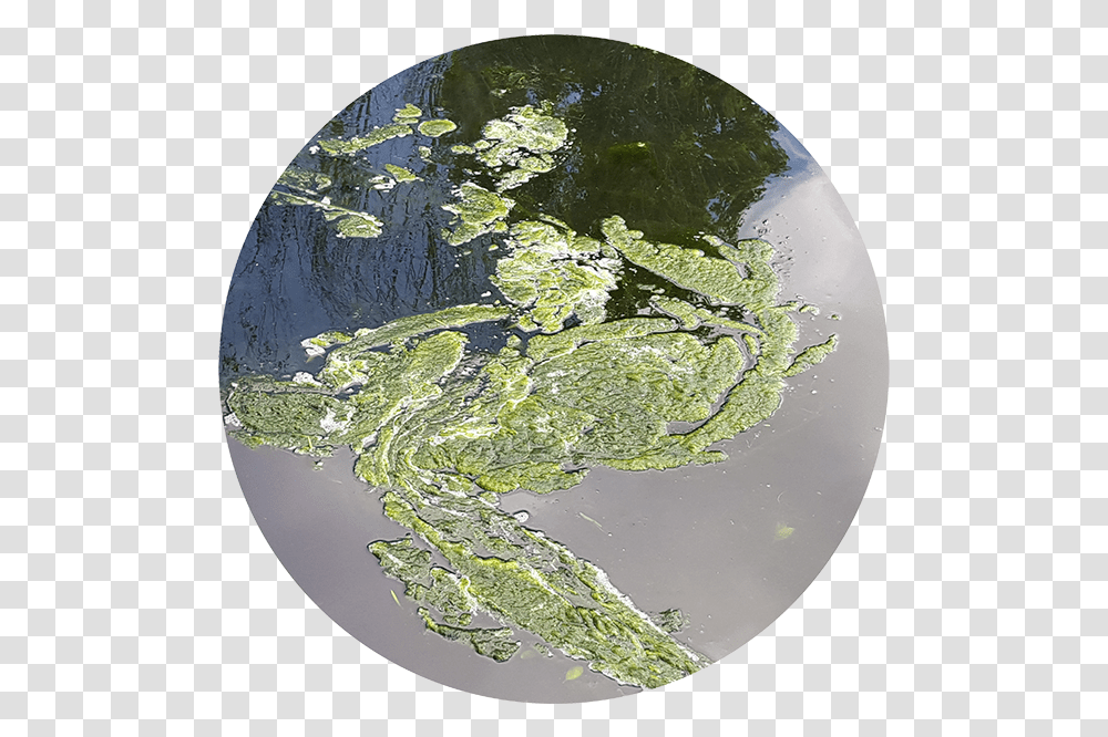 Earth, Water, Outdoors, Map, Diagram Transparent Png