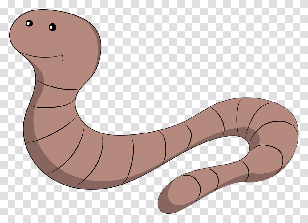 Earth Worm Earthworm Earth Maggot Nature Hen Earth Worm, Animal, Arm, Invertebrate Transparent Png