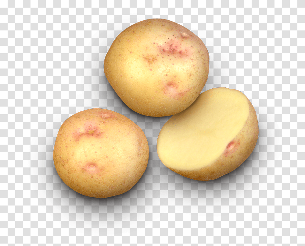 Earthapples Seed Potatoes Canada Potato Varieties In Canada, Plant, Egg, Food, Produce Transparent Png