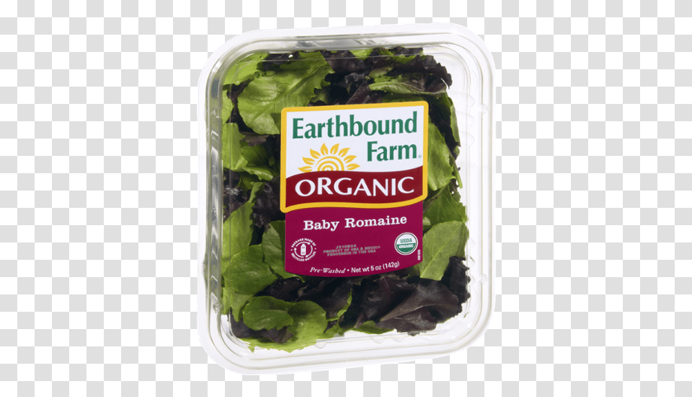 Earthbound Farm Organic Baby Spinach, Plant, Vegetable, Food, Vase Transparent Png