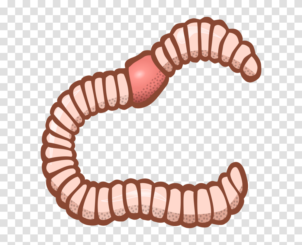 Earthworm Computer Icons Encapsulated Postscript Download Free, Invertebrate, Animal Transparent Png