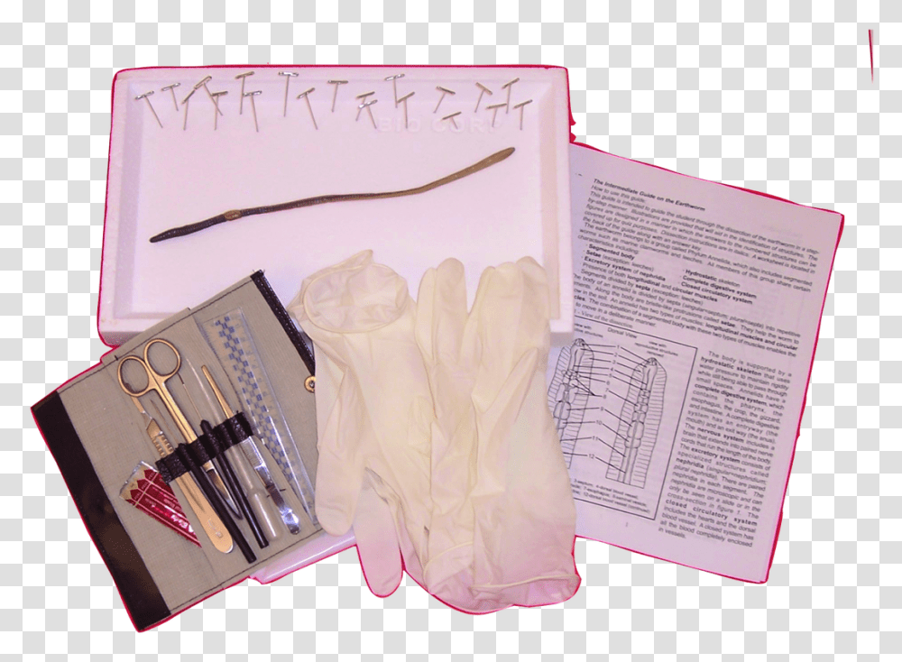 Earthworm Kit Advanced Biologyproductscom, Text, Paper Transparent Png
