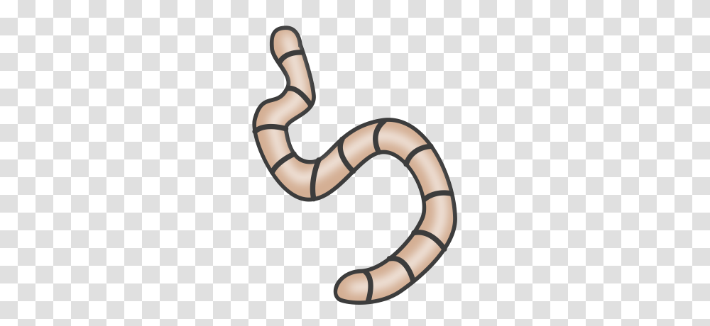 Earthworms Cliparts, Invertebrate, Animal, Sink Faucet, Stomach Transparent Png