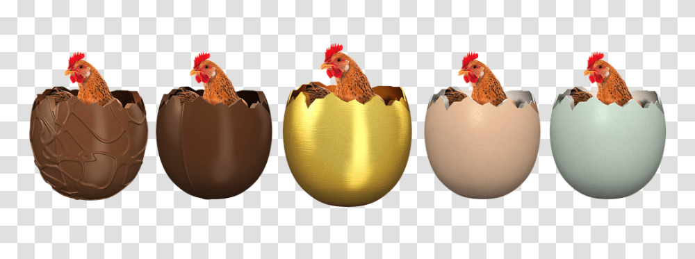 Easter Emotion, Poultry, Fowl, Bird Transparent Png