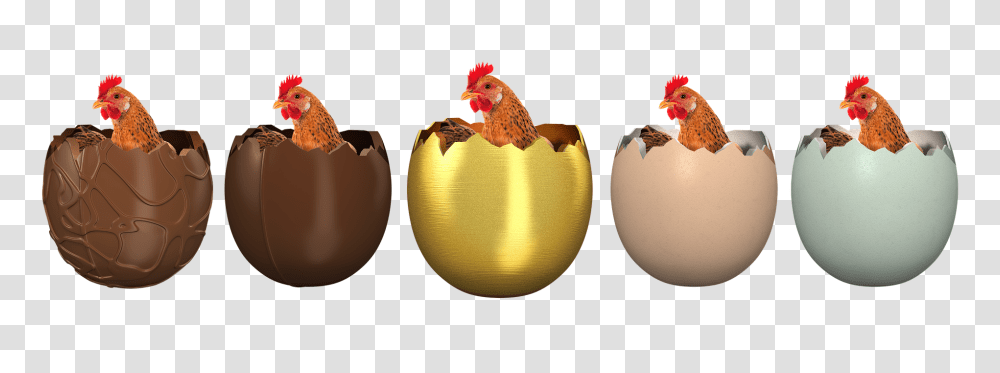 Easter Holiday, Fowl, Bird, Animal Transparent Png