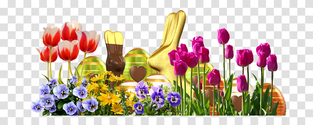 Easter Emotion, Plant, Flower, Blossom Transparent Png
