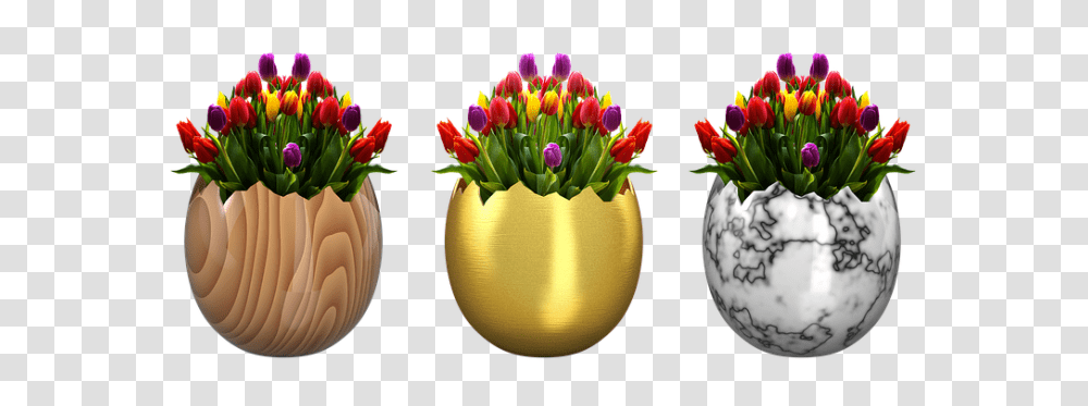 Easter Emotion, Plant, Flower, Blossom Transparent Png