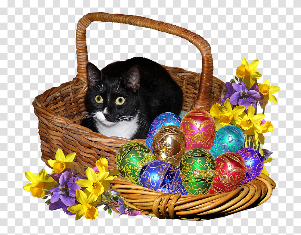 Easter 960, Animals, Basket, Cat, Pet Transparent Png