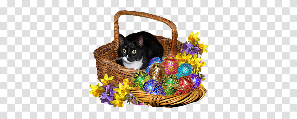 Easter Animals, Basket, Cat, Pet Transparent Png