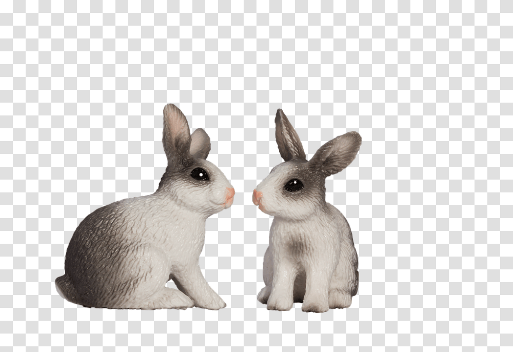 Easter Bunny 960, Holiday, Mammal, Animal, Rodent Transparent Png