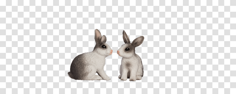 Easter Bunny Animals, Rodent, Mammal, Rabbit Transparent Png