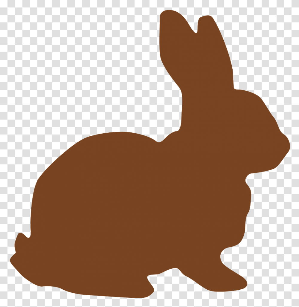 Easter Bunny Vector, Animal, Mammal, Person, Human Transparent Png