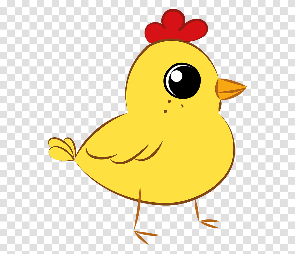 Easter Chicken Clipart Duck, Bird, Animal, Fowl, Canary Transparent Png
