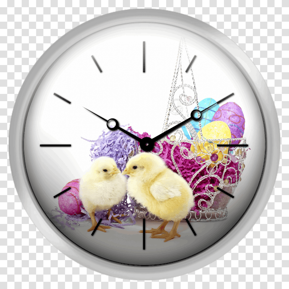 Easter Chicks Easter Clock, Analog Clock, Wall Clock, Chicken, Poultry Transparent Png