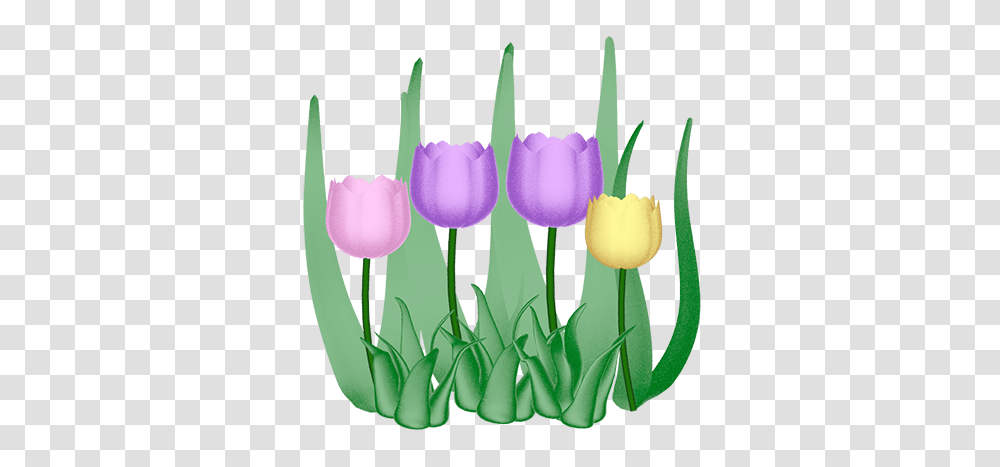 Easter Clip Art, Plant, Flower, Blossom, Tulip Transparent Png