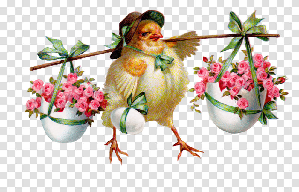 Easter Clipart 44 Photos Kalo Pascha Happy Greek Easter, Plant, Chicken, Bird, Floral Design Transparent Png