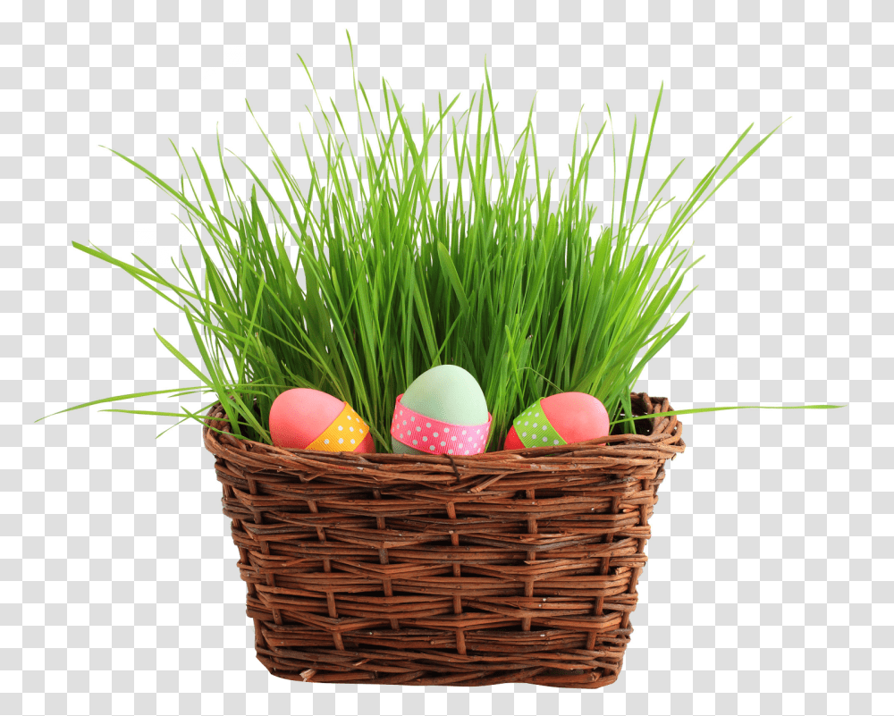 Easter Egg Basket, Plant, Food Transparent Png