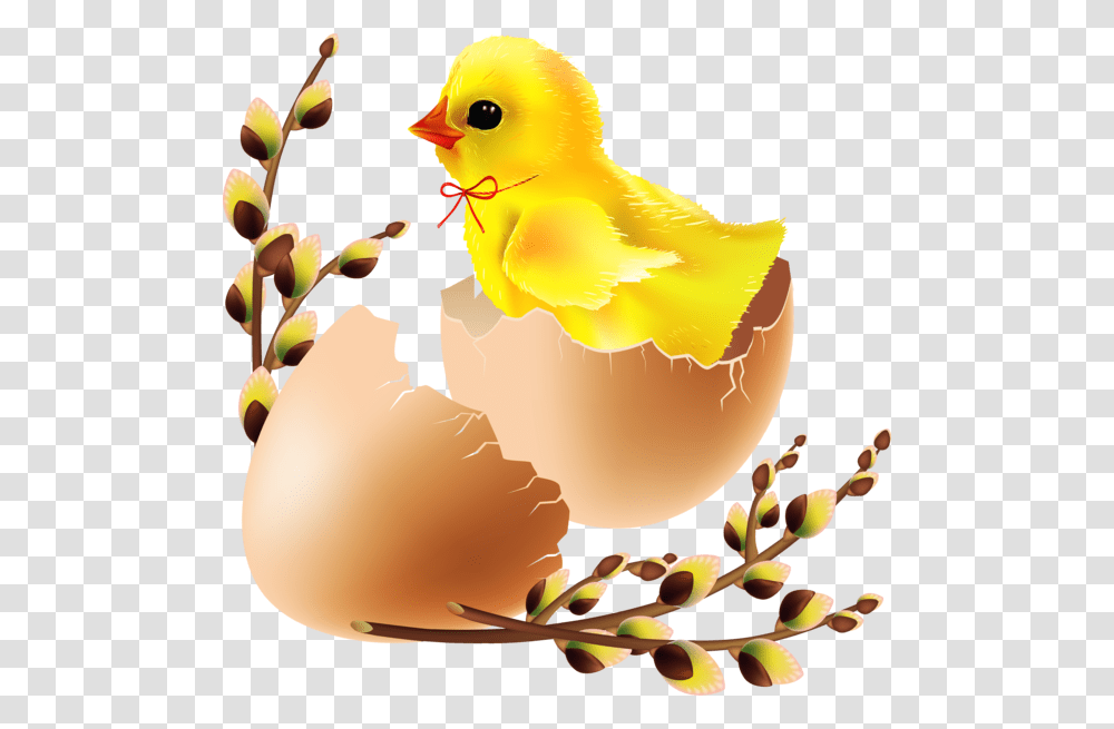 Easter Egg Water Bird Egg For Easter Duck, Animal, Canary, Poultry, Fowl Transparent Png