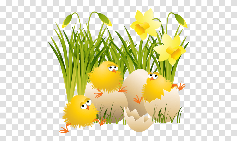 Easter Eggs In Grass For Kids C Est Le Printemps Gif Anim, Plant, Bird, Animal, Flower Transparent Png