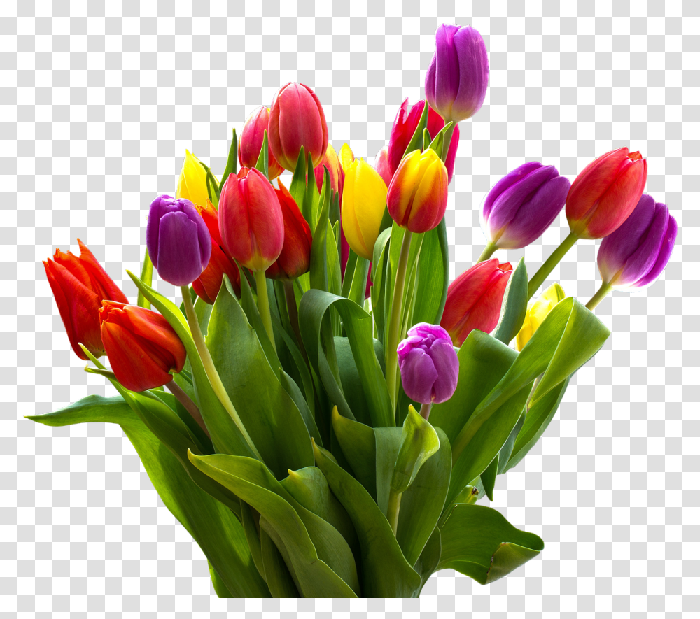 Easter Flower Images Tulip Flower, Plant, Blossom, Flower Bouquet, Flower Arrangement Transparent Png