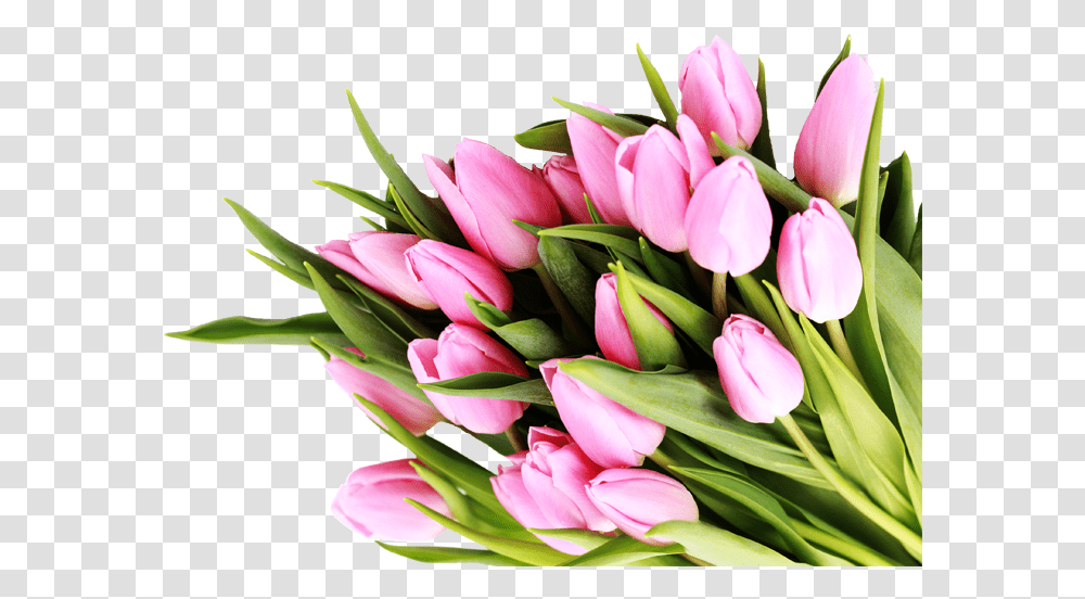 Easter Flowers Bouquet Goodbye May Welcome June, Plant, Blossom, Tulip, Petal Transparent Png