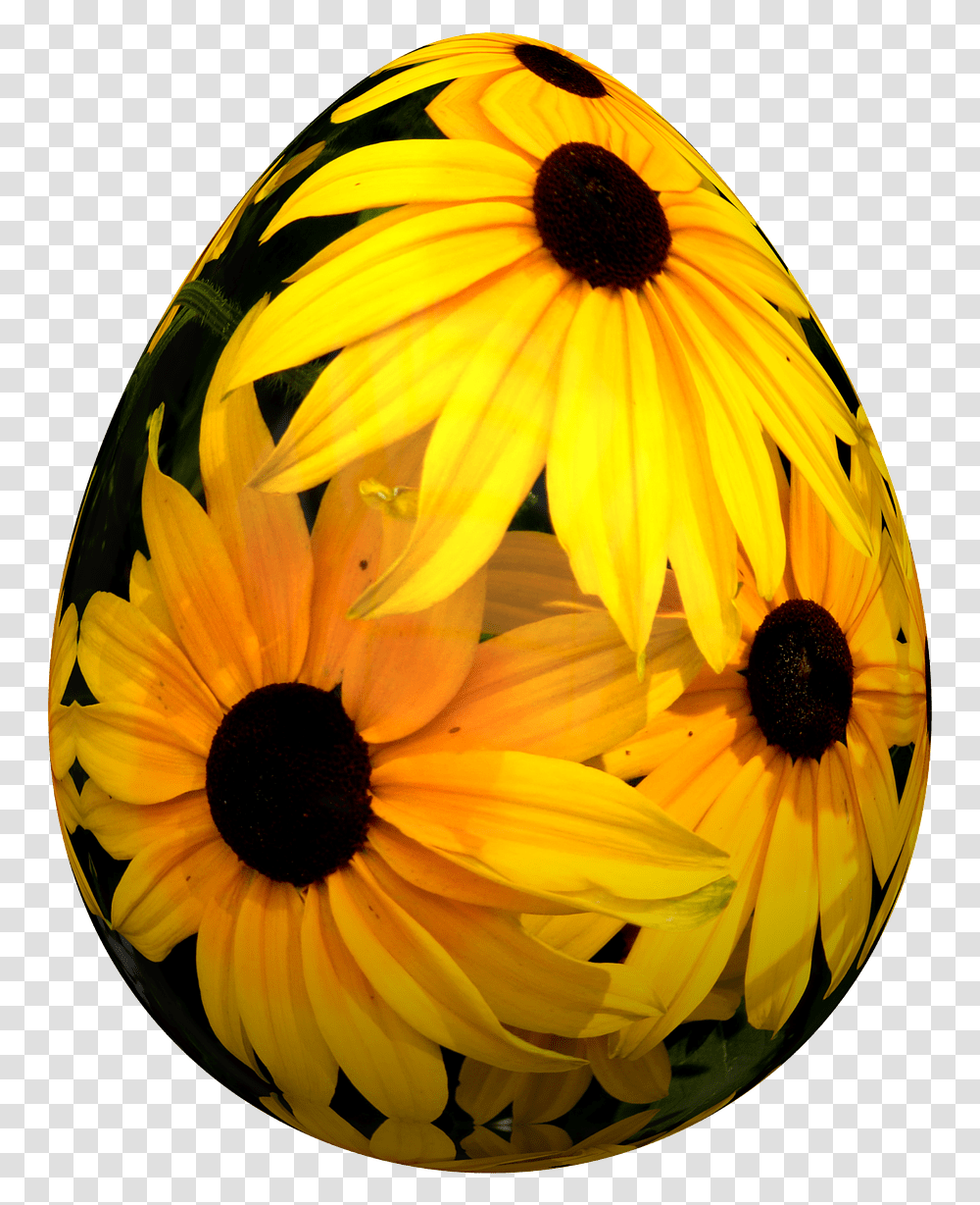 Easter Flowers, Plant, Blossom, Daisy, Daisies Transparent Png