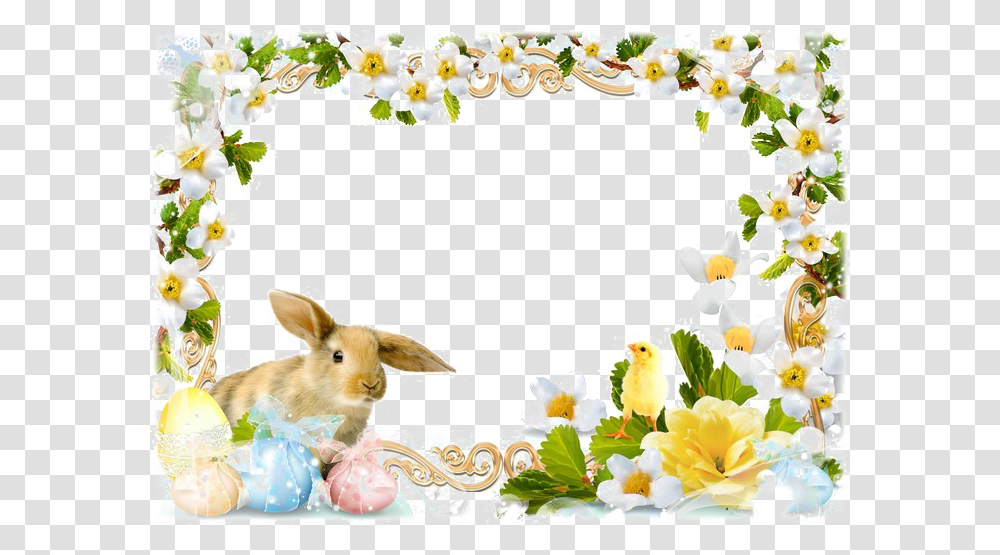 Easter Frames Image, Dog, Animal Transparent Png