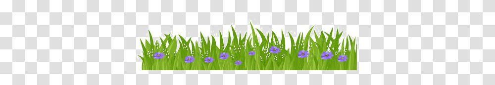 Easter Grass Flowers Background Arts, Green, Word, Plant, Petal Transparent Png