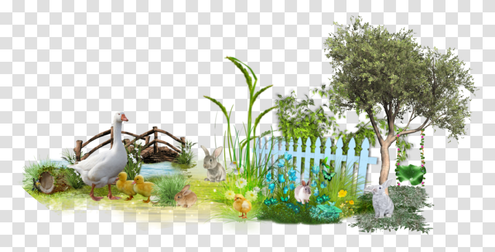 Easter Grass Scenery Ducks Tree Bridge Animals Grass, Bird, Water, Chicken, Poultry Transparent Png