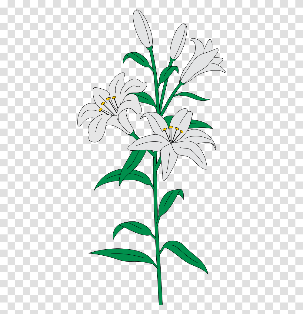 Easter Lilies, Plant, Flower, Blossom, Lily Transparent Png