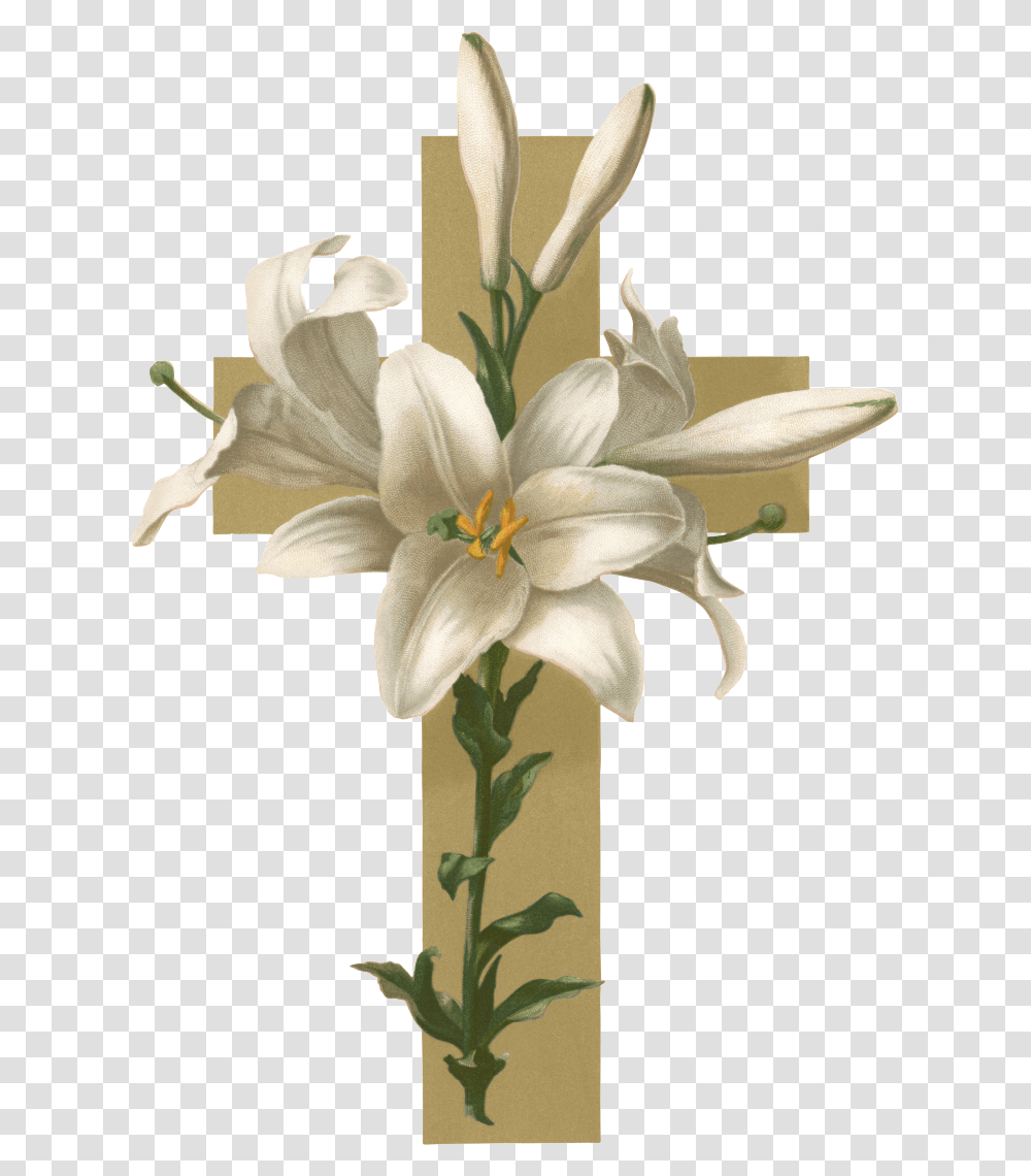 Easter Lilies With Cross, Plant, Lily, Flower, Blossom Transparent Png