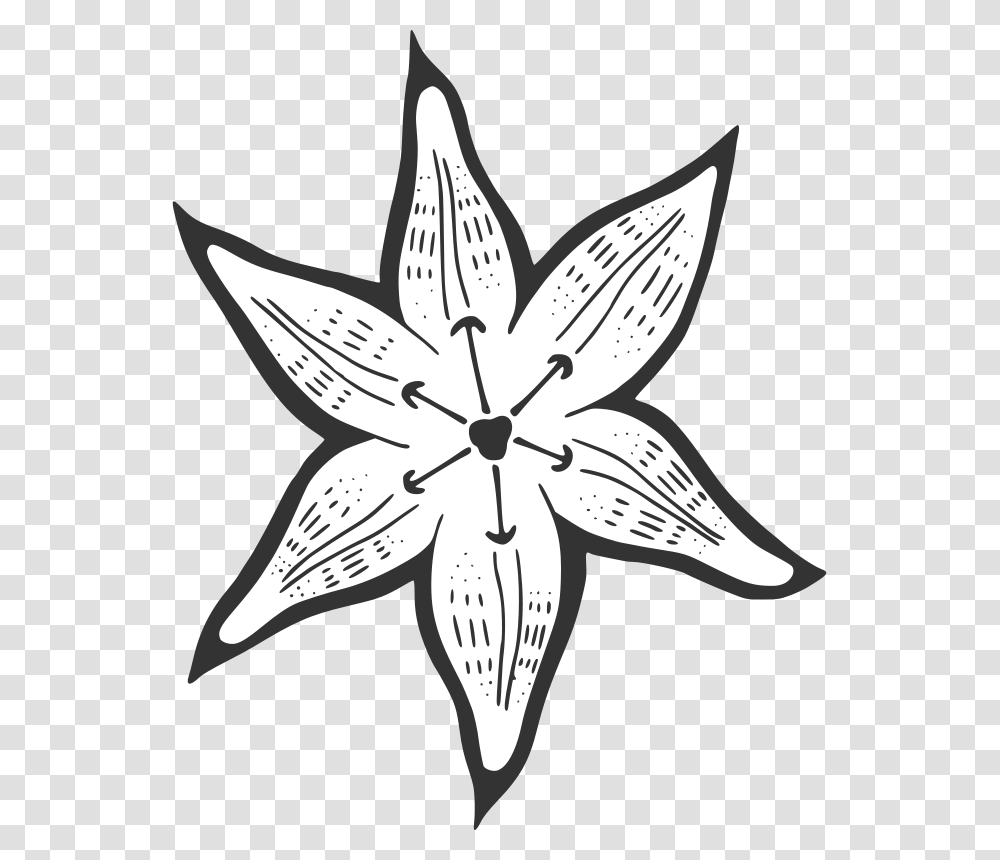 Easter Lily Clipart Black And White Clipart Outline Of A Lilypad Flower, Plant, Pattern, Blossom, Star Symbol Transparent Png