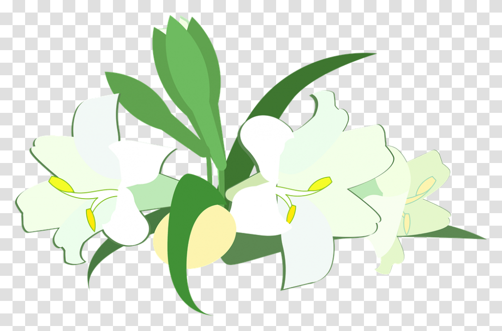 Easter Lily Lily, Plant, Flower, Blossom, Floral Design Transparent Png