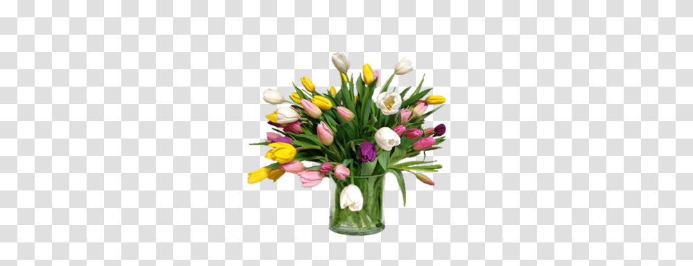Easter Lily Plant, Flower, Flower Arrangement, Vase, Jar Transparent Png