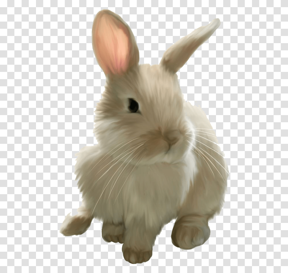 Easter Rabbit Image Bunny Clipart Background, Rodent, Mammal, Animal, Bird Transparent Png