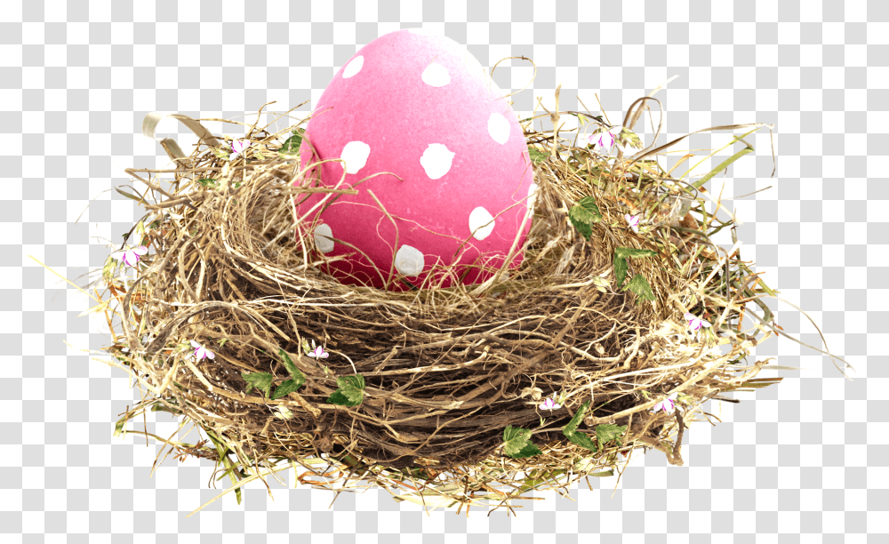 Easter Transprent Free Download Egg Birds Nest Full Easter Nest, Food, Bird Nest Transparent Png