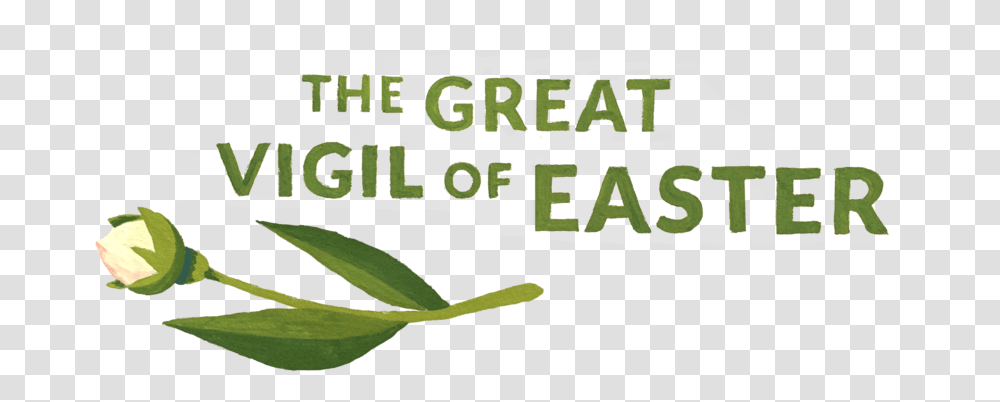Easter Vigil Free Tea Plant, Text, Leaf, Flower, Produce Transparent Png