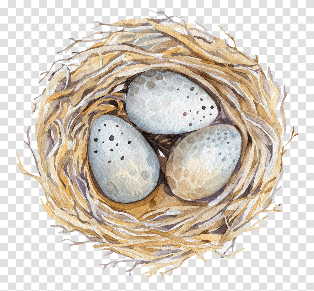 Easter Watercolor Birds Nest, Food, Egg, Bird Nest, Lamp Transparent Png