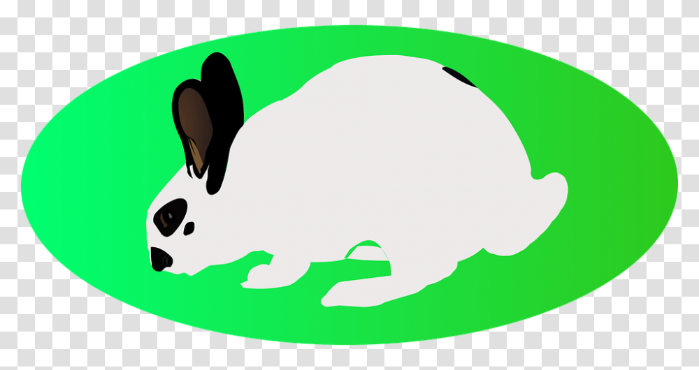 Easter White Rabbit Green Ellipse Long Eared Cartoon, Animal, Outdoors, Mammal, Nature Transparent Png